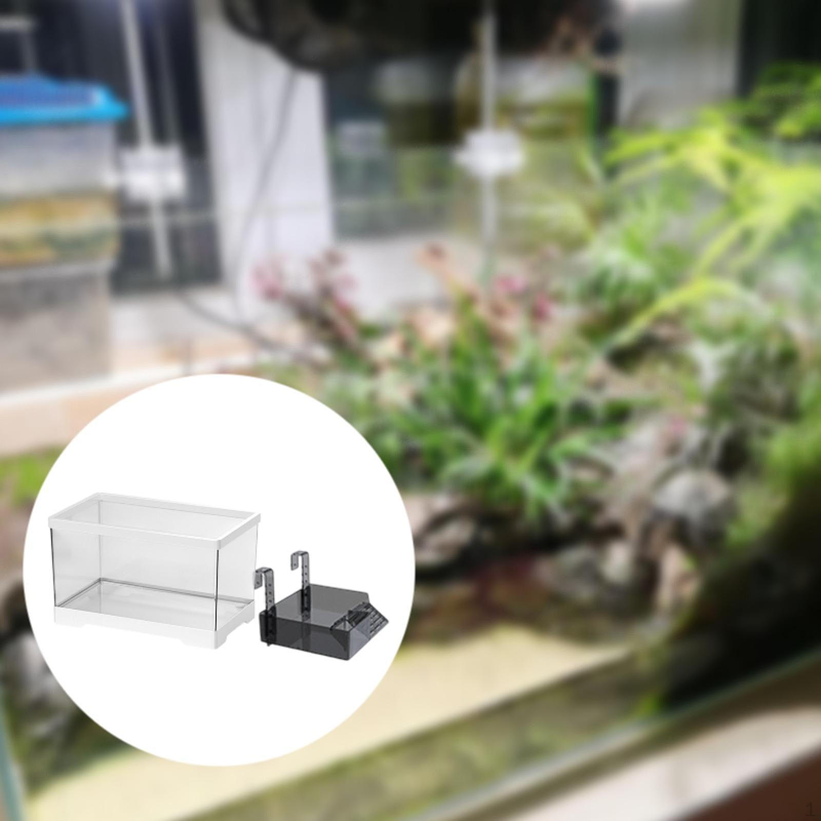 

Стартовый комплект для обитания черепах с дренажем и кормушкой для рептилий M with Platform белый