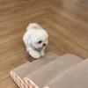 Super Wide 2/3-layer Anti-skid Base Dog Ramp - Pet Step, Suitable for Small and Medium-sized Dogs with Grid Pattern Design, Soft Fabric Step