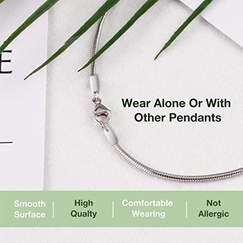Stainless Steel Snake Chain Necklace - European/American Fashion Titanium Steel Jewelry
