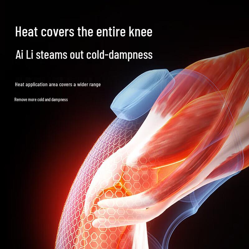 Pangao Pulse Hot Compress Massager Gift Set