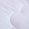 Fuanna Healthy Sleep Antibacterial Brushed Fiber Quilt