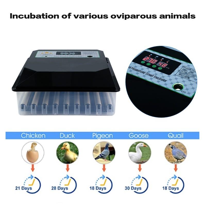 36/56/64PCS Eggs Automatic Incubator Fully Automatic Farm Bird Quail Brooder High precision temperature Control Poultry Hatcher