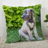 Irish Wolfhound Pillowcase Modern Home Bedroom Living Room Sofa Cushion Cover 45X45Cm Peach Skin Pillowcase