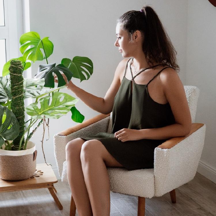 Plant Support Flexible Plant Stake Living Room Plant Stand Plant Climbing Support Suitable for Indoor Plant Growth