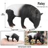 Wild Safari Animal Figurines: Giraffe, Elephant, Rhinoceros, Brown Bear, Tiger, Lion, Leopard, Hippopotamus - Solid Cognitive Toys