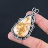 Natural Petrified Wood Jasper Gemstone Pendant 925 Sterling Silver Jewelry