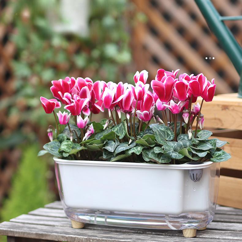 

Plastic Translucent Lazy Self-priming Planter Resin Planting Pot 1pc