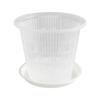 Breathable Plastic Orchid Pot - Anti-Rot, Ideal for Phalaenopsis and Hydroponic Plants