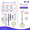 BJD Doll Adjustable Stand for 1/6, 1/8, 1/12 Scale Figures