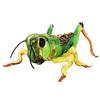 Taiyo Sangyo Boeki SA051 Wildgraphy Stuffed Grasshopper Realistic Gift