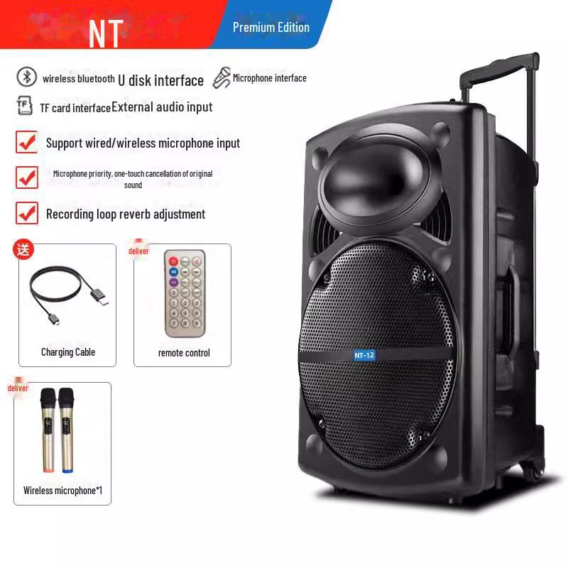 

12-дюймовий портативний Bluetooth-колонка караоке з мікрофоном two wireless microphones