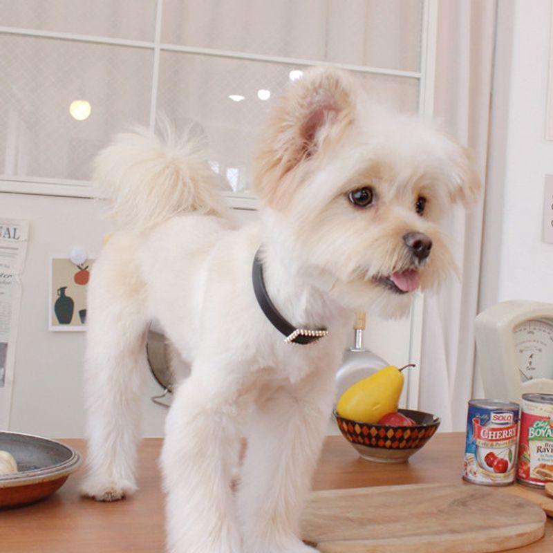 MAISON DE MIU Quadratische Perlenkette_Schwarz