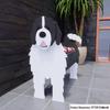 Garden Art Dog and Cat Flower Pot Set
