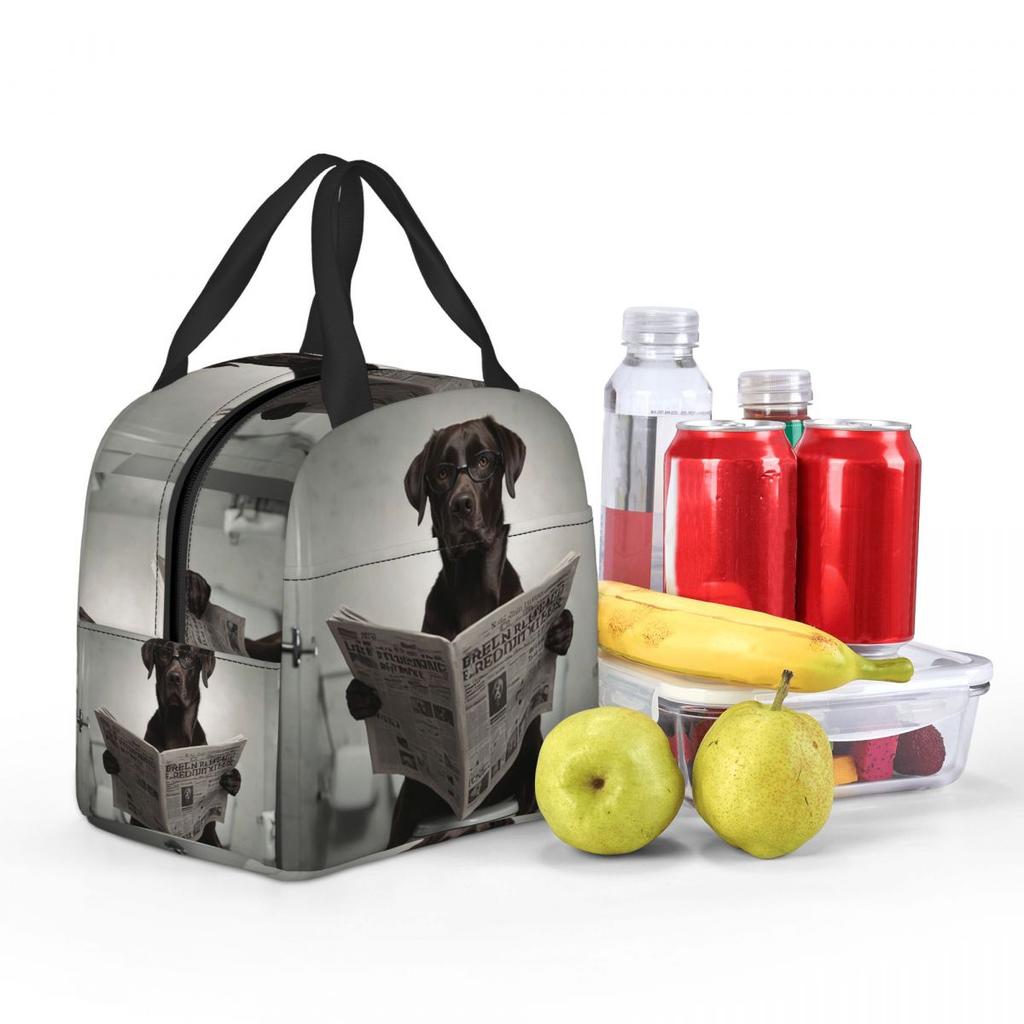 Chocolate Labrador Reading A Newspaper Insulated Lunch Bag for Women Kids Portable Food Boxes Thermal Lunch Box Tote