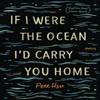 Se Eu Fosse o Oceano Eu Te Levaria Para Casa por Pete Hsu Livro de Bolso 9781636280530