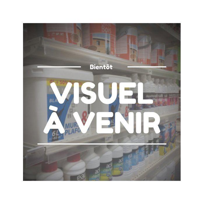 Mousqueton Am'D Screw-Lock - PETZL - Aluminium - Gris - Adulte - Mixte - Escalade