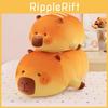 Cuter Baking Master Capybara Bread Plush Toy Pp Cotton Filling For Kids Decor