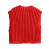 Women's V-Neck Chunky Knit Sleeveless Cardigan Vest - European & American Style, Autumn/Winter 2025