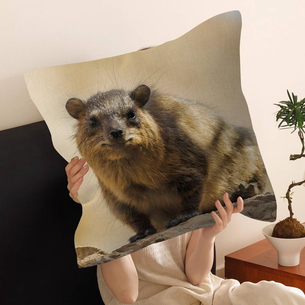 Rock Hyrax Animal Cushion Cover Pillow Cover Decor Pillowcase Printed Cushion Case for Couch