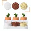 Transparent Glass Spice Jar For Salt Sugar Pepper Powder With Cactus Lid And Spoon Seasoning Bottle Salt Glass Jar For Kitchen