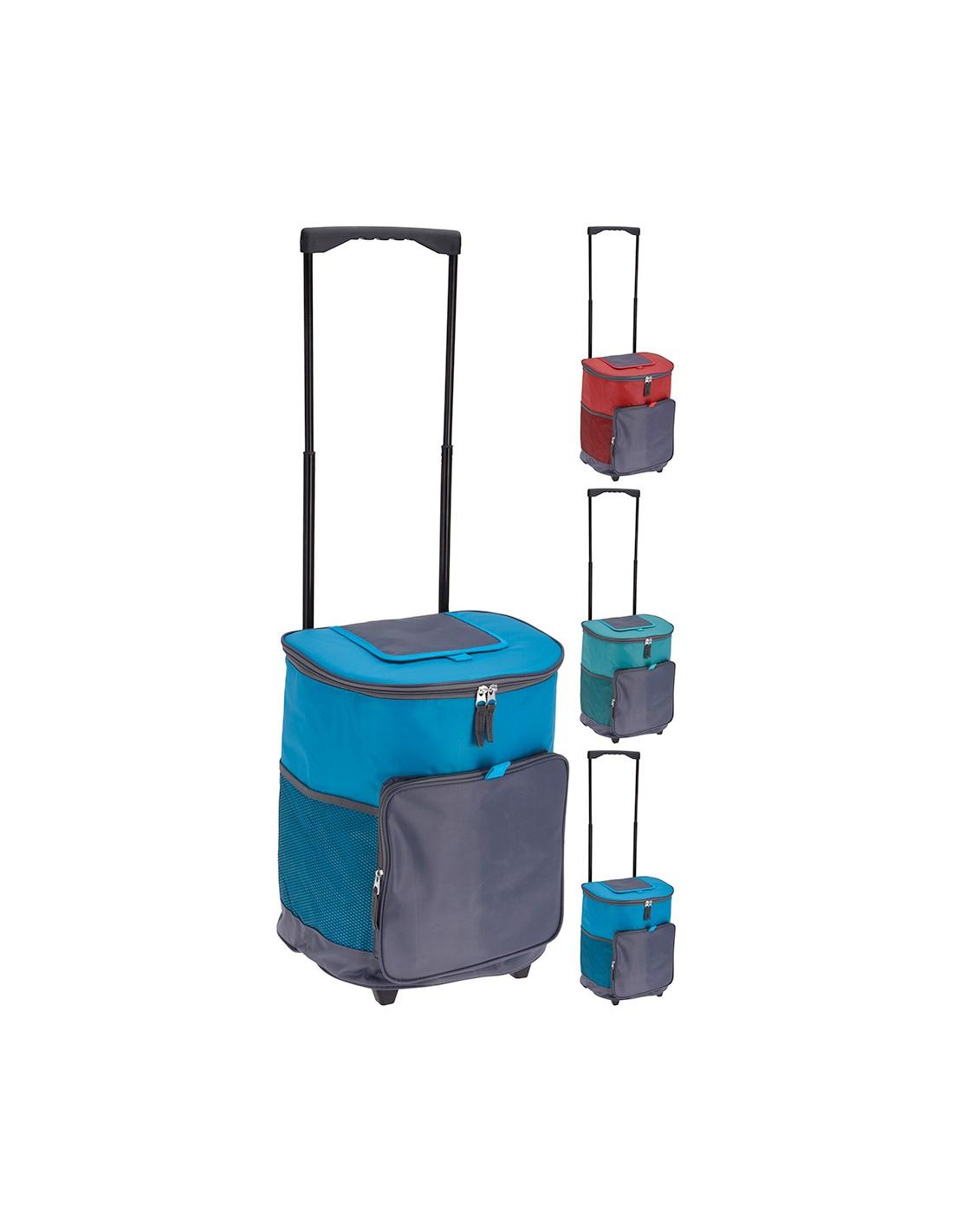 Réfrigérateur portable de voyage - Couleurs assorties