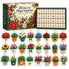 -Day Christmas Seed Calendar, Days of for Holiday Countdown