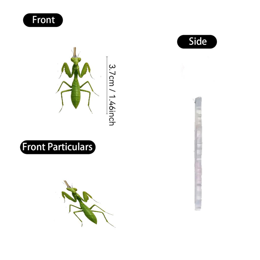 2D Plane+airplane Box +24PC+ Fitness Decoration Advent Christmas Countdown Box Calendar