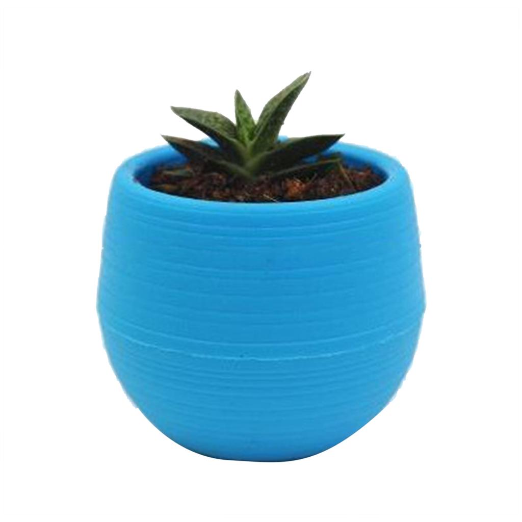 Succulent Pot Mini Seedling Flower Container Plastic Flower Pot for Garden Courtyard Balcony