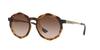 [ARMANI EXCHANGE] [Armani Exchange] Sunglasses AX4132SU SHINY HAVANA FrameGRADIENT BROWN Lens 51