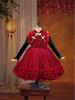 Winter Princess Long Sleeve Tutu Dress with Fleece Lining for Little Girls
