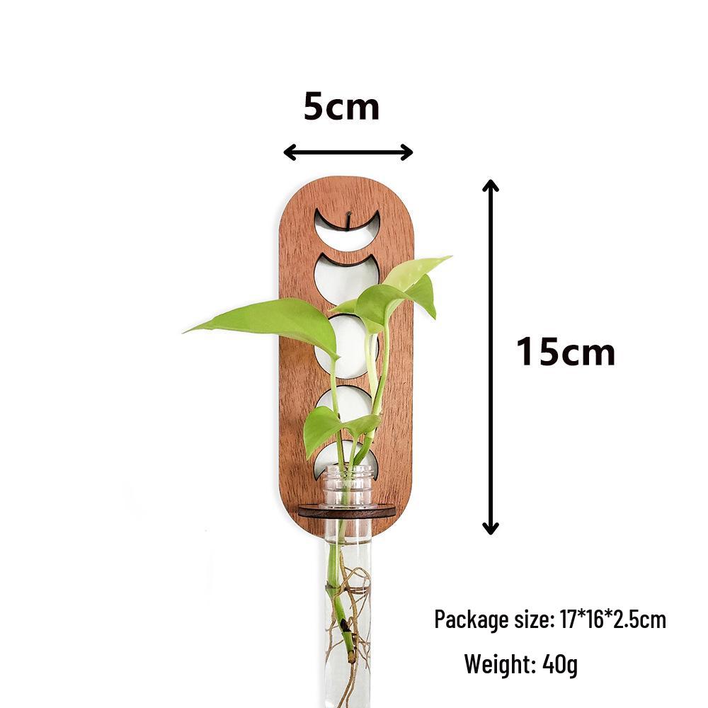 Cross-Border Round Solid Wood Plant Storage Rack – Simple Wall-Mounted Test Tube Wooden Decor for Bedroom.
