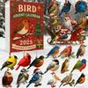 Christmas Advent Calendar Bird Design 24-Day Countdown Decoration Kid Surprise Advent Calendar Holiday Decor