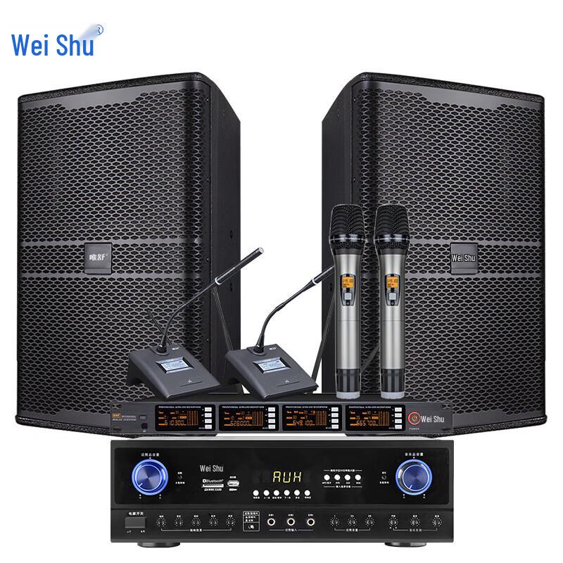 Weishu KX-300 Professional Conference Audio System (CN Version)