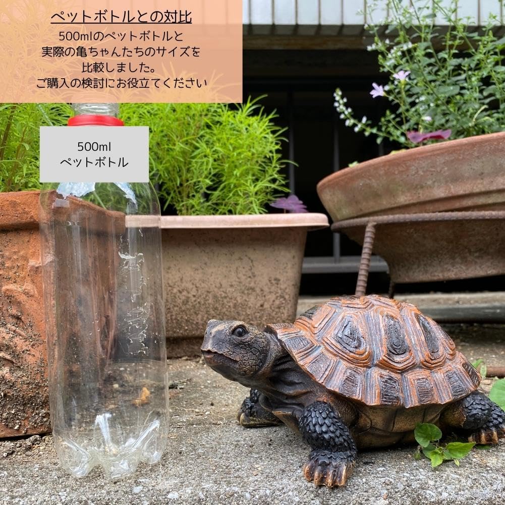 [S.T.S.G] Tortoise Figurine, Garden Ornament, Realistic Decor, Perfect for Gardening, Home Decor, or as a Gift (Large Tortoise (Medium))