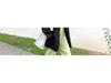 High-End Korean Style Black Suit Jacket for Petite Women - Loose, Thickened Fabric for Autumn and Winter