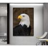 Eagle Roc Spreading Wings HD Canvas Print Poster Home Living Room Bedroom Decorative Painting Modern Simple Wall Art Animal