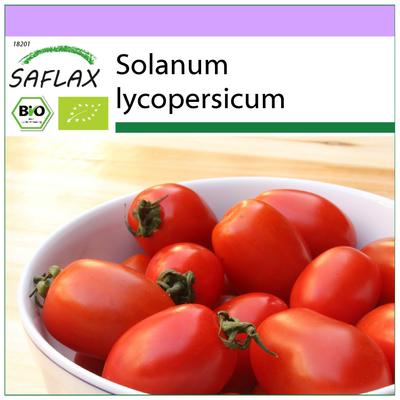 Bio - Tomate - Principe Borghese - 10 graines - Solanum lycopersicum