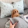 2026 Korean Cartoon Student Cotton 40TC Duvet Cover Set Ins Style Bedding