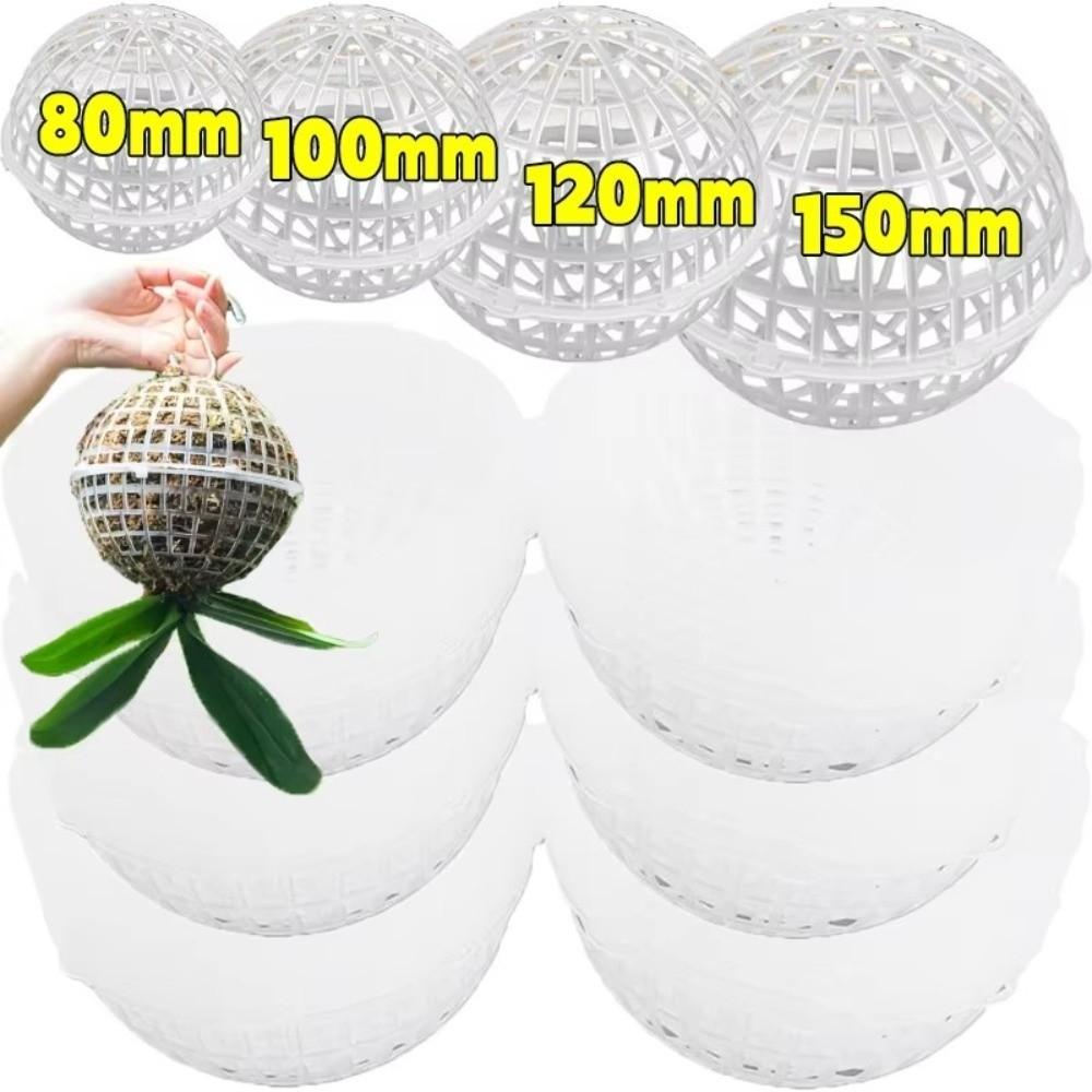 5Pcs Plastic Suspended Ball Filler Reusable Hanging Planter Balls Indoor Outdoor