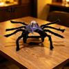 Non Restraining Pet Clothing for Active Pets Spider Costume, Halloween Cat Outfit with Skull Face, Black Cute Transformation Birthday Holiday Apparel