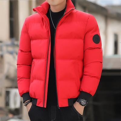 Men's Coat New Autumn and Winter Cotton-padded Jacket Thickened Down Cotton-padded Jacket Stand-up Collar Short Jacket