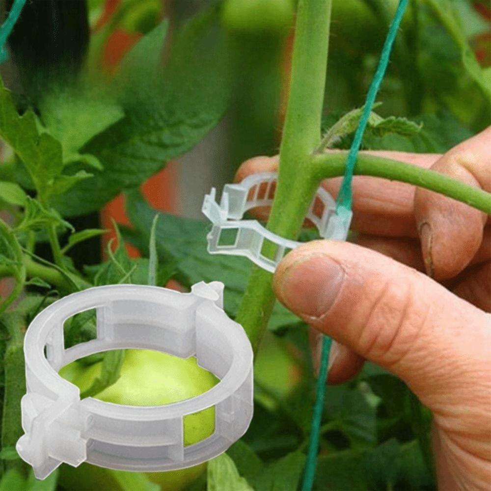 100 PCS Reusable Plant Support Clips Snap-Lock Design Trellis Clips Plant Clips  Tomato Plant