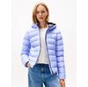 Women's Hooded Down Puffer Jacket (DW0DW21617) Blue