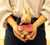 PETER RABBIT Plush 182617 Toy, Cottontail, Small,