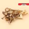 Shouzu Wild Mushroom Soup Gift Set