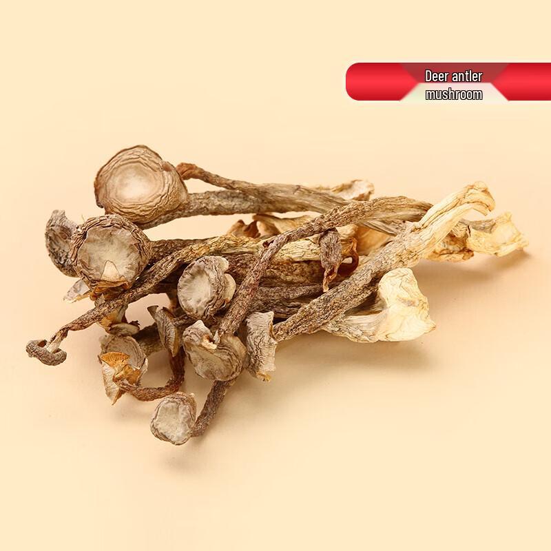 Shouzu Wild Mushroom Soup Gift Set