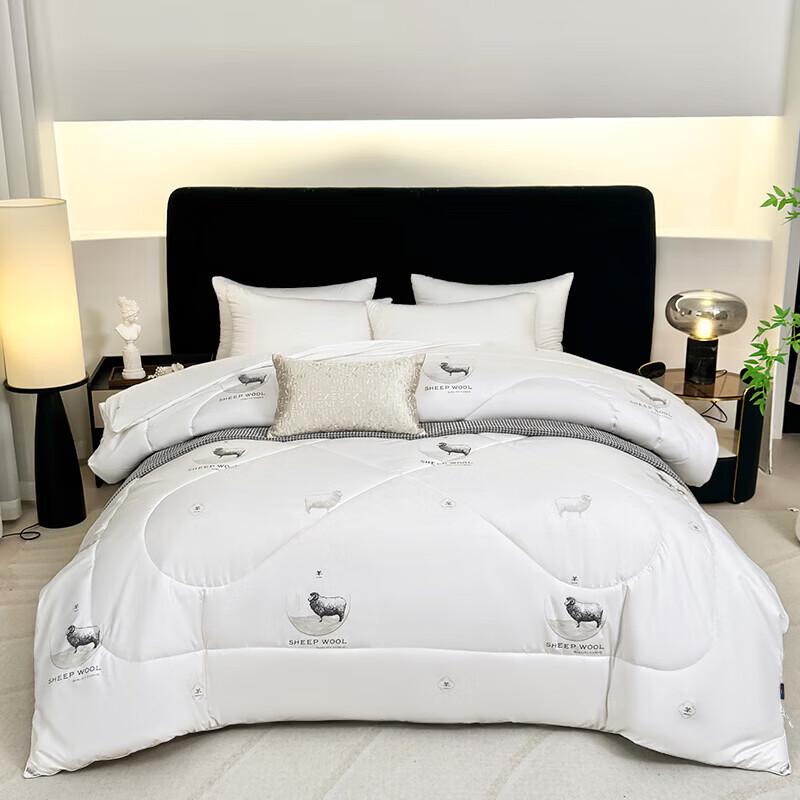 Paul David Erdos Wool Quilt