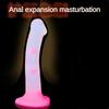 Women Sex Toy Cute Small Jelly Dildos for Beginner Strap Penis Couples/lesbian Anal Plug