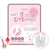 Foot Double Essence Mask 10 Sheets / Cold Hands & Feet / Foot Care