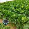 1/2/4PCS Solar Powered Ultrasonic Sonic  Mole Pest Rodent Repeller Repellent Yard Outdoor Lamp Backyard Farmland Mouse Repeller